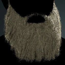 Facial Hair Style 24