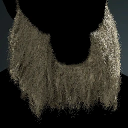 Facial Hair Style 25