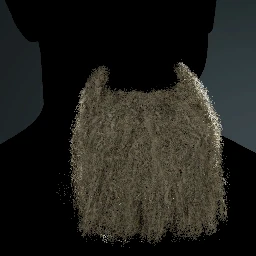 Facial Hair Style 22