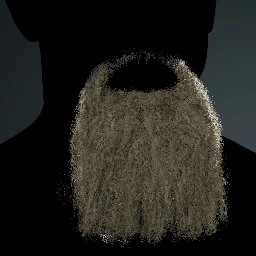 Facial Hair Style 23