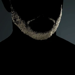 Facial Hair Style 8