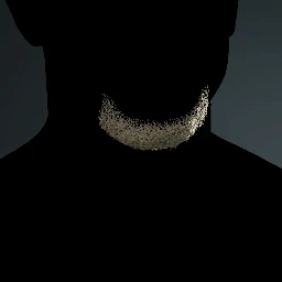 Facial Hair Style 3