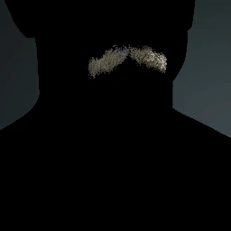 Facial Hair Style 1