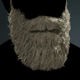 Facial Hair Style 27