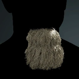 Facial Hair Style 20