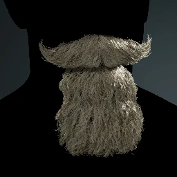 Facial Hair Style 21