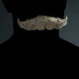 Facial Hair Style 19
