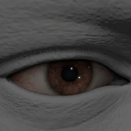 Brown 1