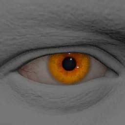 Vivid Orange