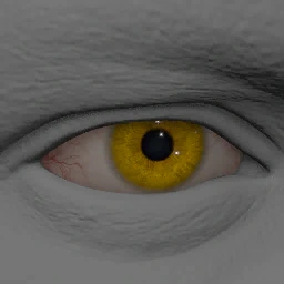 Vivid Yellow