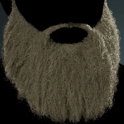 Facial Hair Style 23