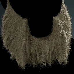Facial Hair Style 24