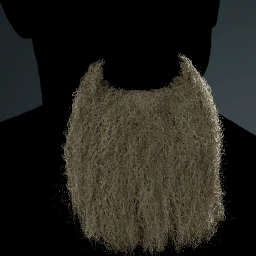 Facial Hair Style 21