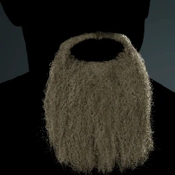 Facial Hair Style 22