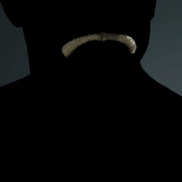 Facial Hair Style 10