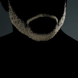 Facial Hair Style 11