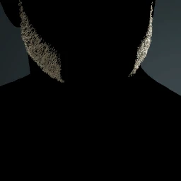 Facial Hair Style 2