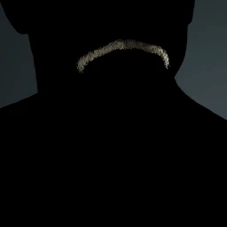Facial Hair Style 5