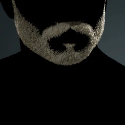 Facial Hair Style 10