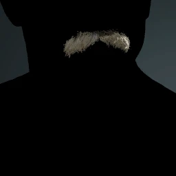 Facial Hair Style 1