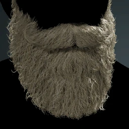 Facial Hair Style 26