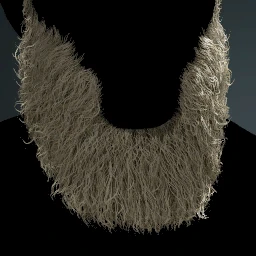 Facial Hair Style 25