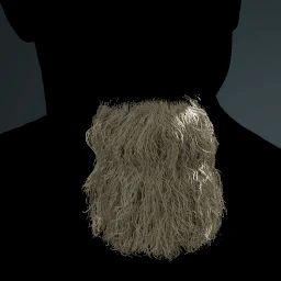 Facial Hair Style 19