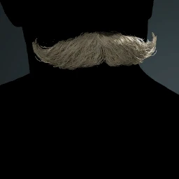 Facial Hair Style 12