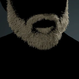 Facial Hair Style 17
