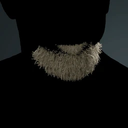 Facial Hair Style 15