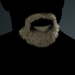 Facial Hair Style 16