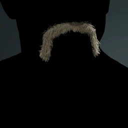 Facial Hair Style 13