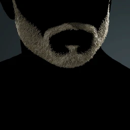 Facial Hair Style 14