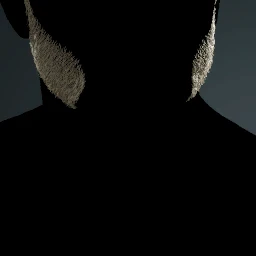 Facial Hair Style 7