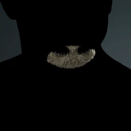 Facial Hair Style 9