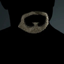 Facial Hair Style 11