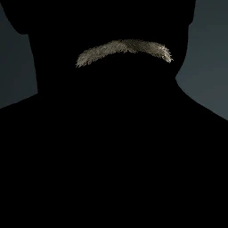 Facial Hair Style 12