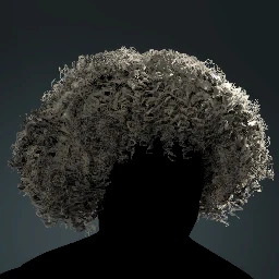 Coiled Combover