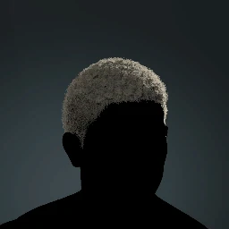 Coiled Fade Buzzcut
