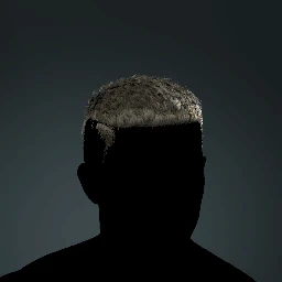 Detailed Fade Buzzcut