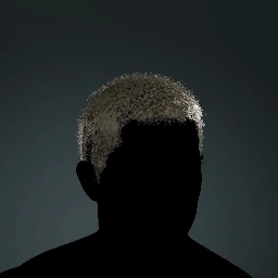 Full Buzzcut