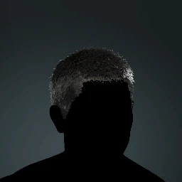 Military Buzzcut
