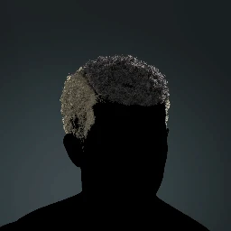 Coiled Combover