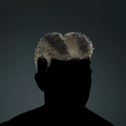 Double Hawk Curly