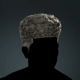 Flat Top Curly