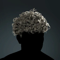 Short Spiked Curly