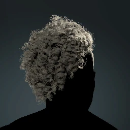 Side Shaved Curly