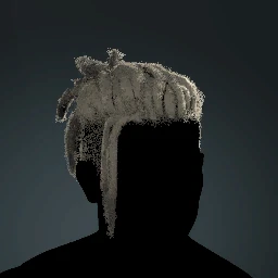 Tiedback Locs Coiled