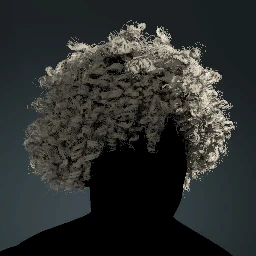 Windswept Curly