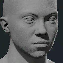 Face 4